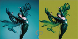 Photo Masking service example