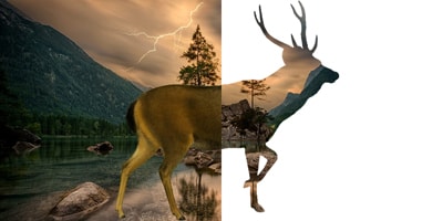 Clipping Mask service example