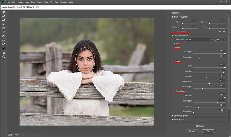 Face-Aware Liquify Tool