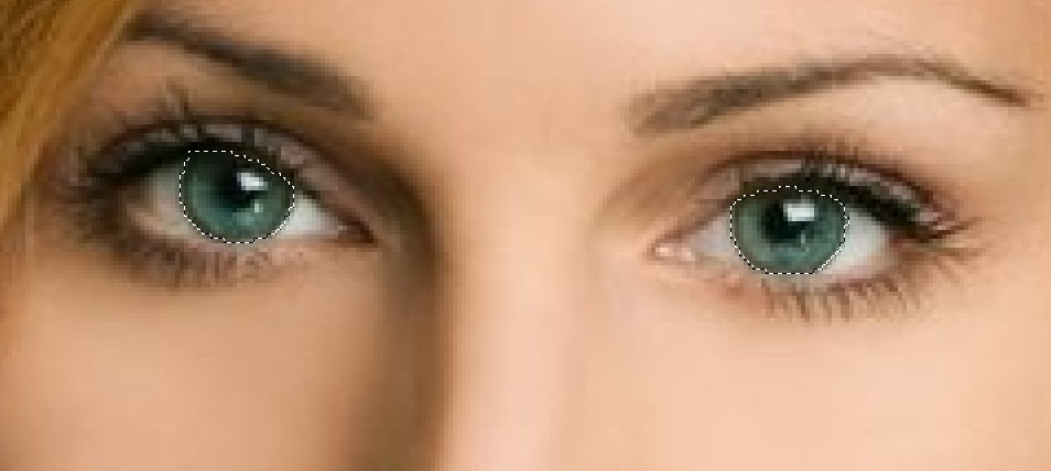 Make a Selection Outline, Circling the Eye Balls