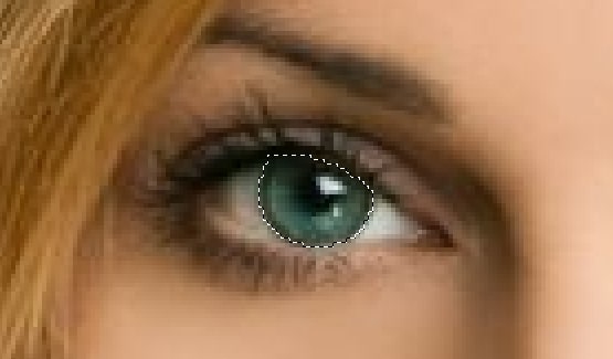 Select the iris only