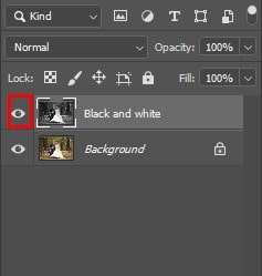 Black and White layer back