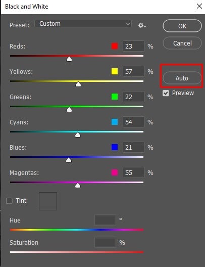 Black and white dialog box