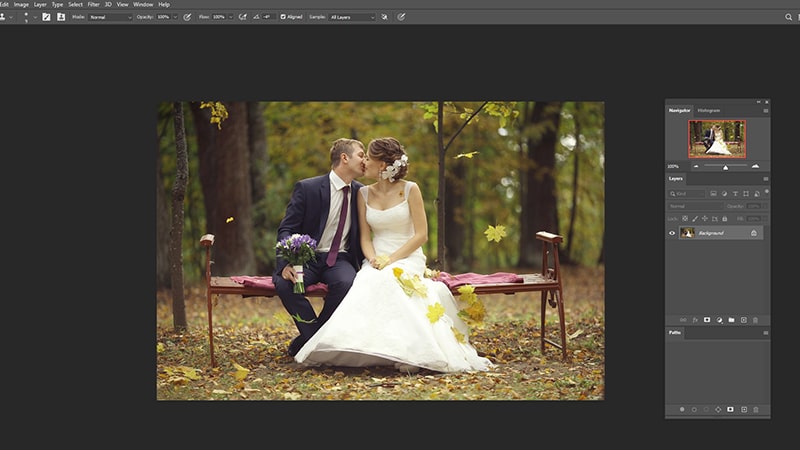 Save the Image as a Copy