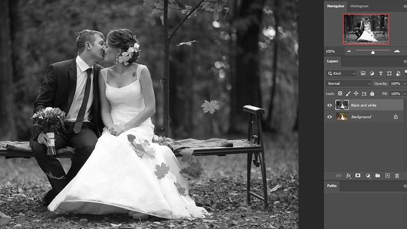 back to Black and white photo