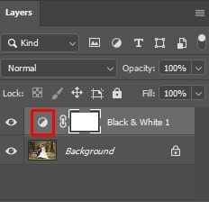 chosen in the layers panel