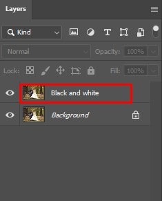 convert the image to black and white