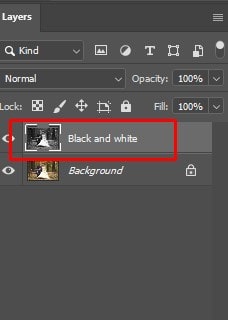 converted layer to Black and white