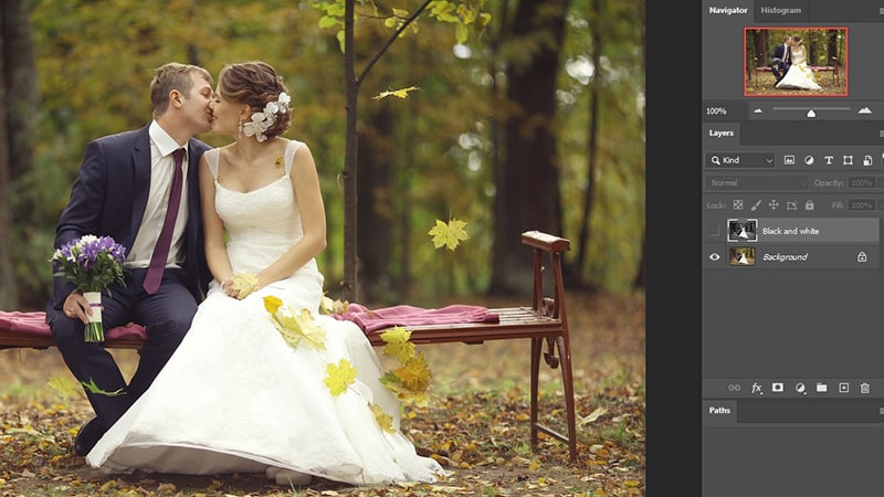 look at the original image color