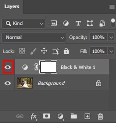 pressing on the Visibility Icon