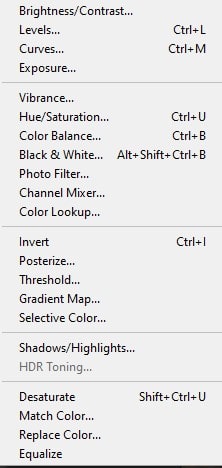 select the Adjustments