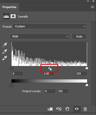 The Levels Dialog box 