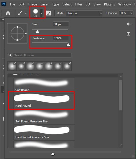 Access Brush Settings