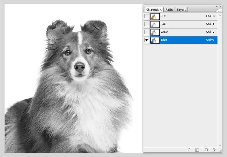 Channel Masking Tutorial