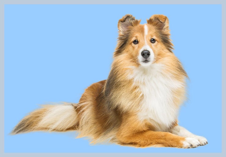 Converting the Channel Mask