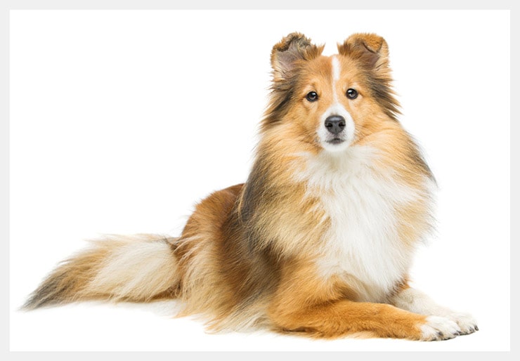 alpha channel masking