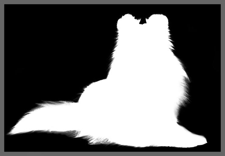 photoshop masking technique