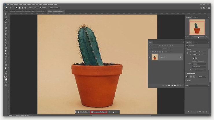 Write the Prompt in Generative Fill button
