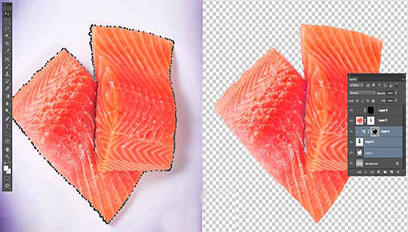 Deep etching service — intricate subject separated from a complex background